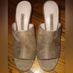 ZARA Basic clear chunky heel